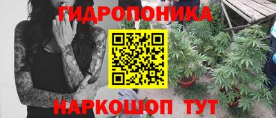 мдпв Нальчик
