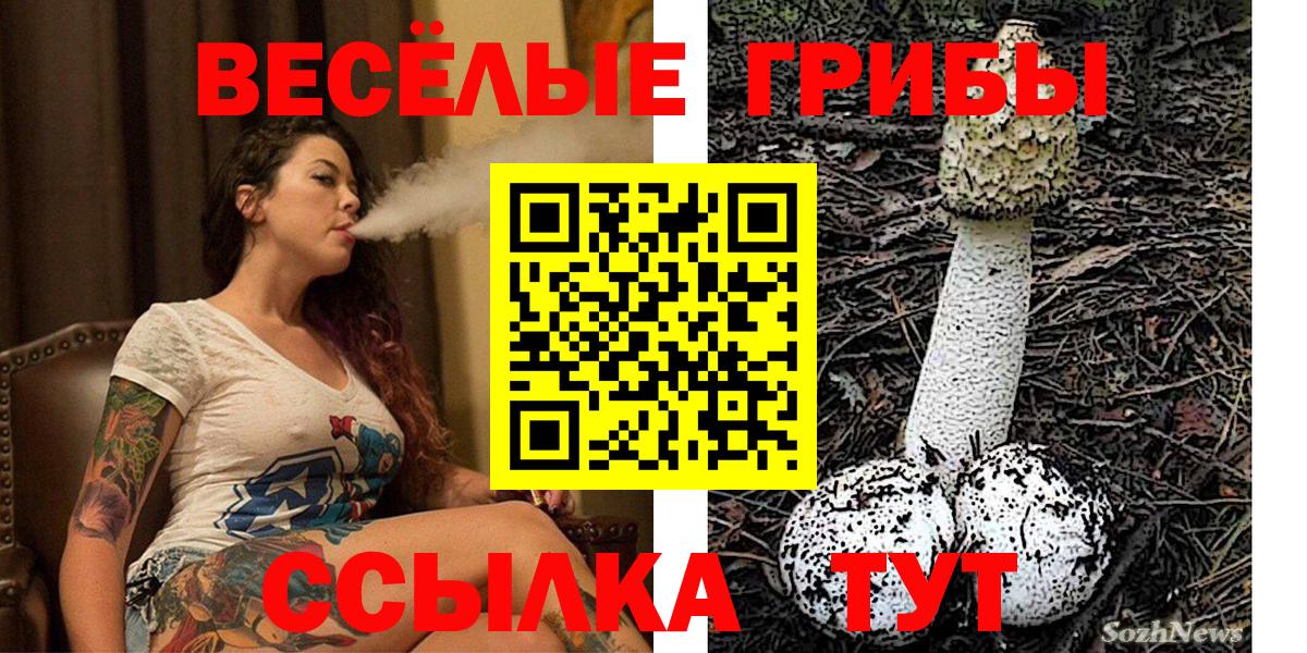 Псилоцибиновые грибы Cubensis Воркута